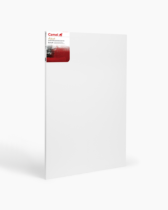 Buy Camel Stretched Canvases (Large) Online in India | Kokuyo Camlin