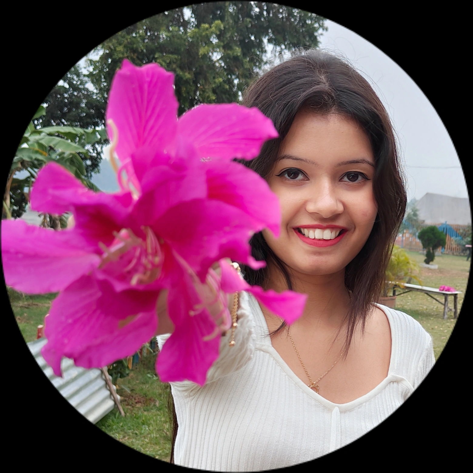 Kokuyo Camlin Website