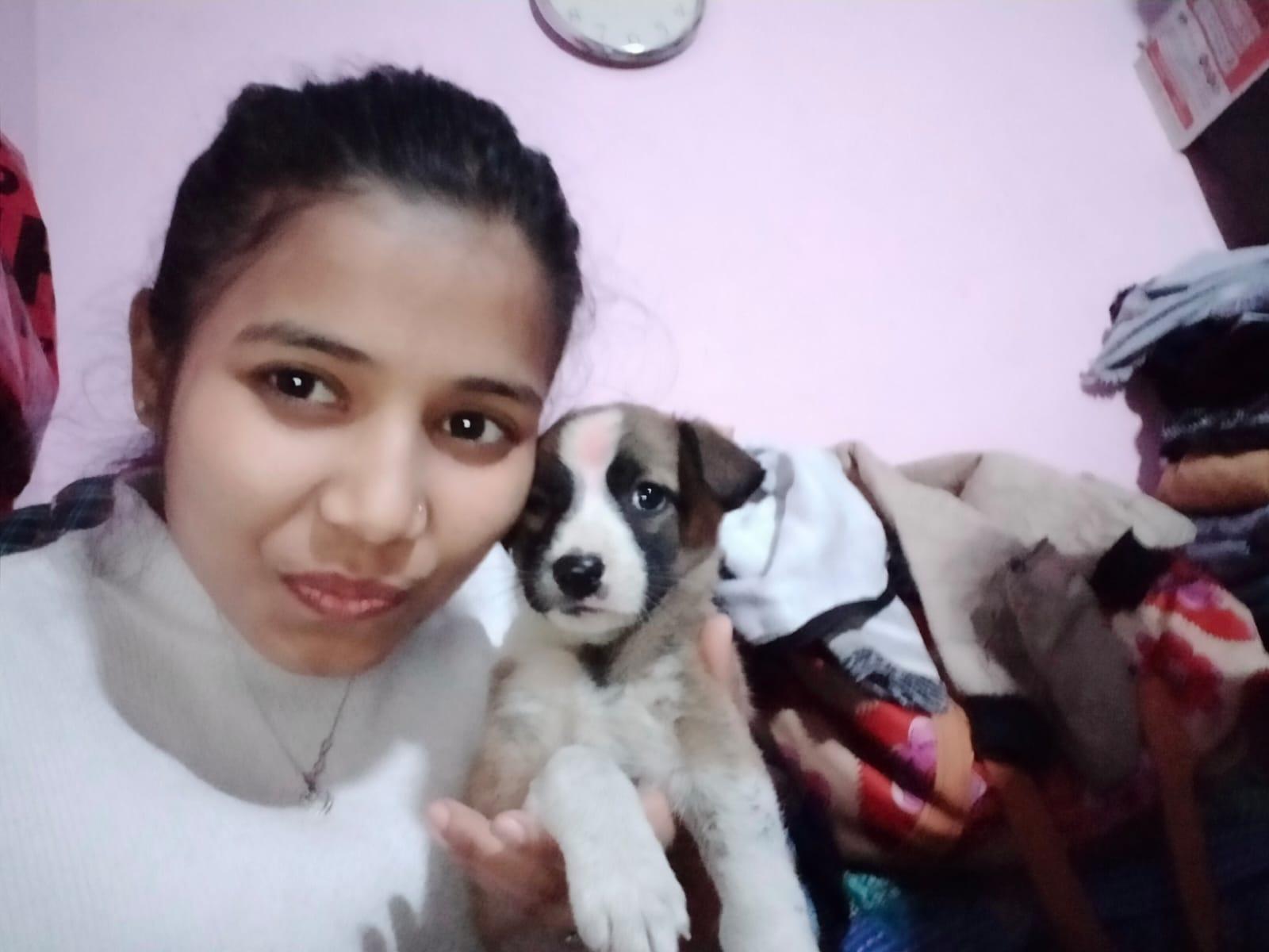 Kokuyo Camlin Website