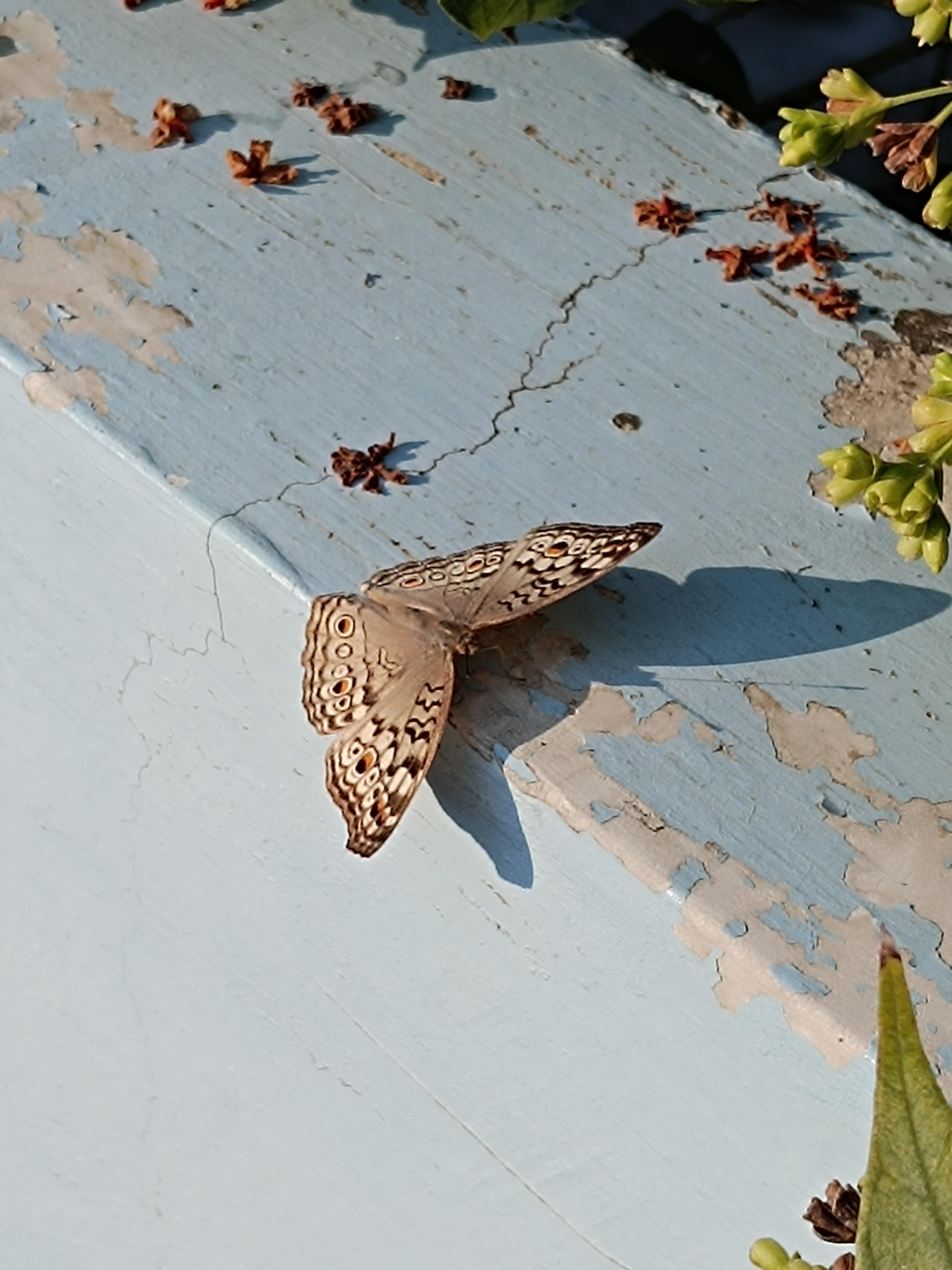 Kokuyo Camlin Website