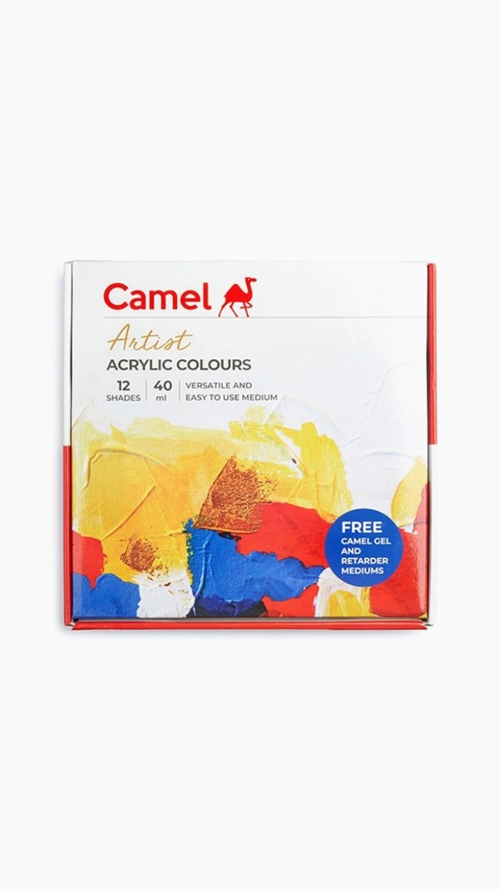 Acrylic Colours, brushes & a min shape canvas