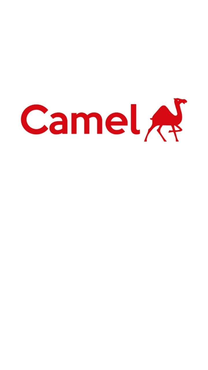 Camlin Logo