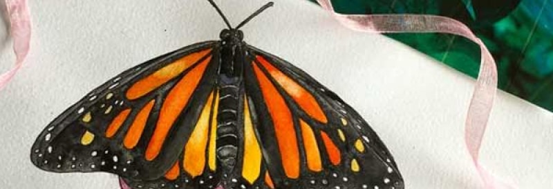 Become a pro at painting butterflies