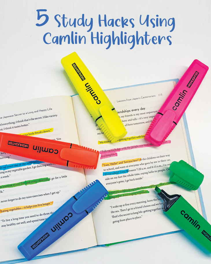 Koyuko Camlin Website