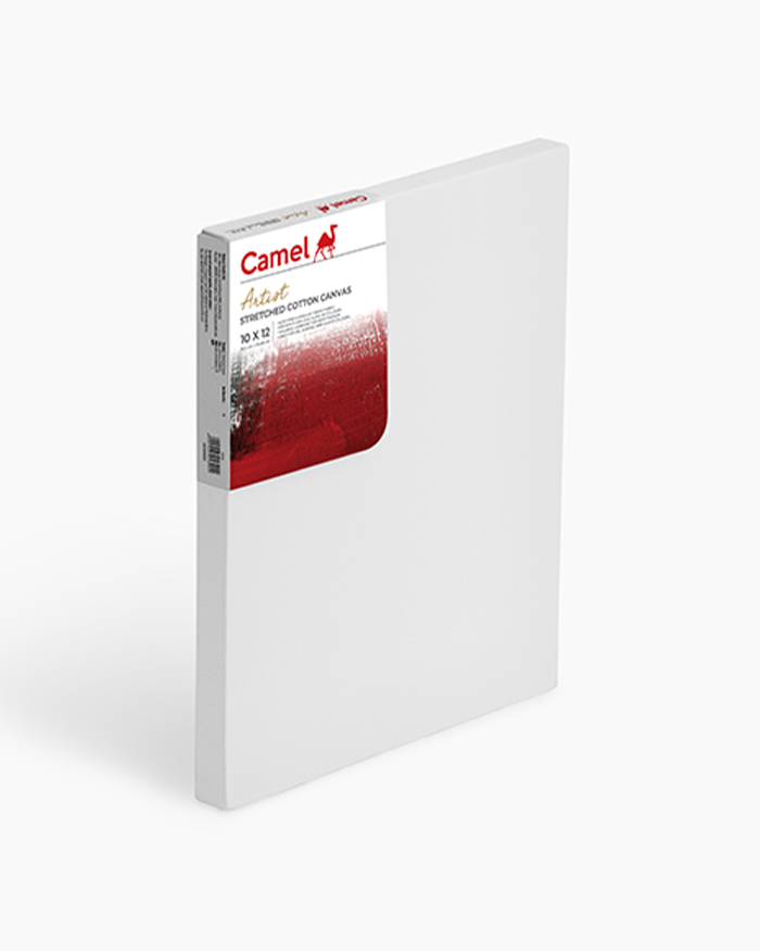 Koyuko Camlin Website