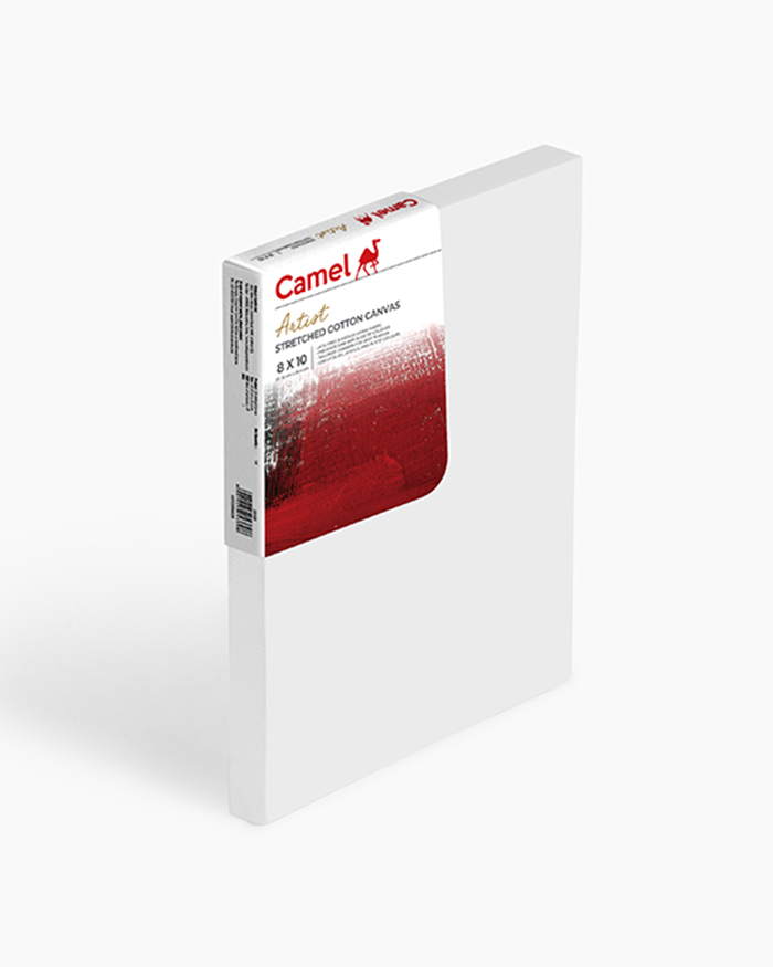 Koyuko Camlin Website