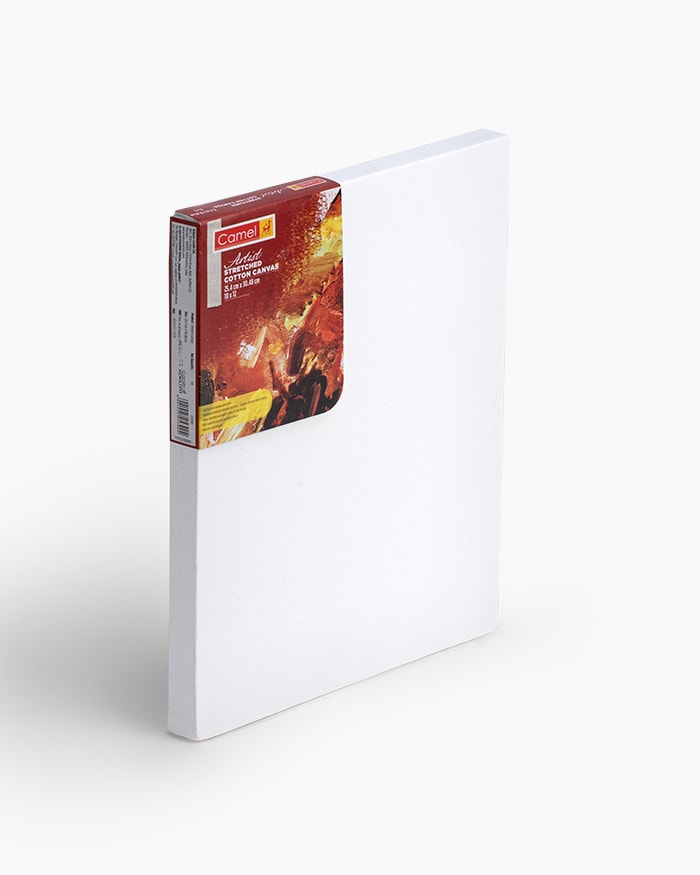 Koyuko Camlin Website