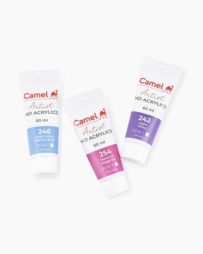 Koyuko Camlin Website