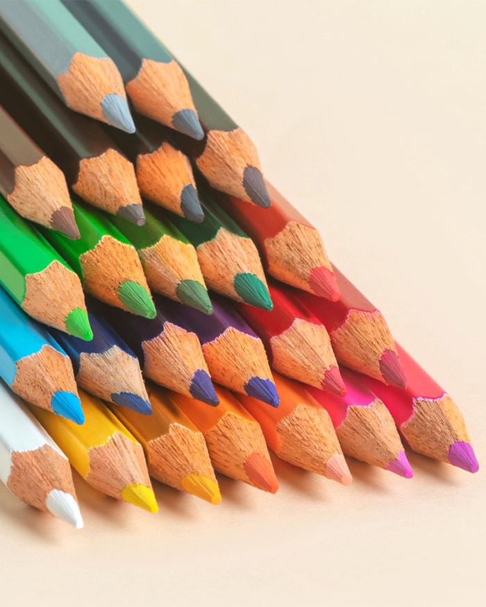 Koyuko Camlin Website