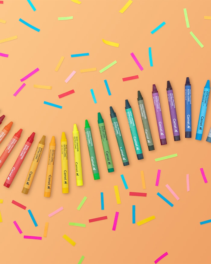 Koyuko Camlin Website