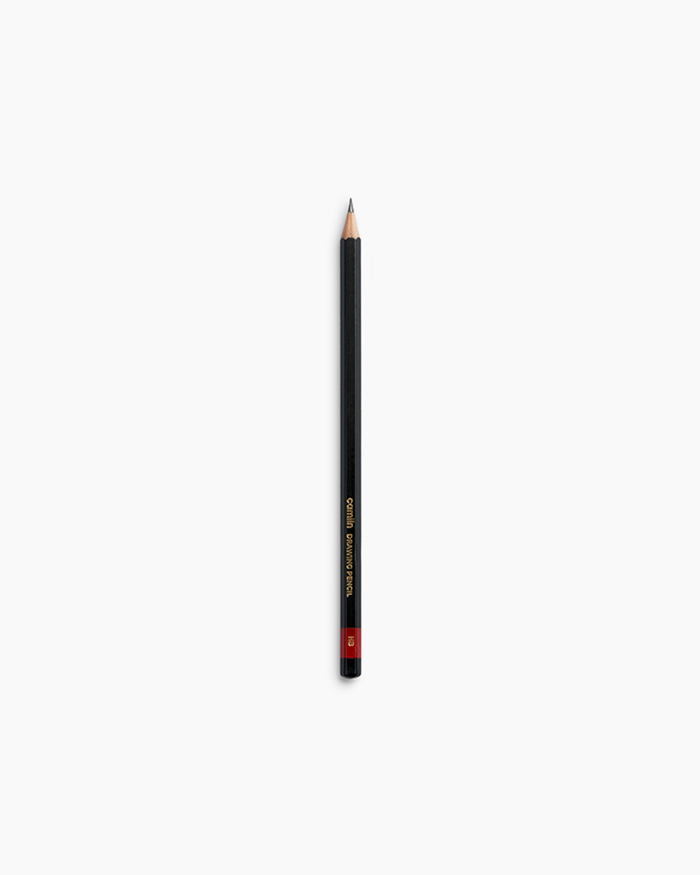 Camlin Drawing Pencils Pack of 10 pencils, HB