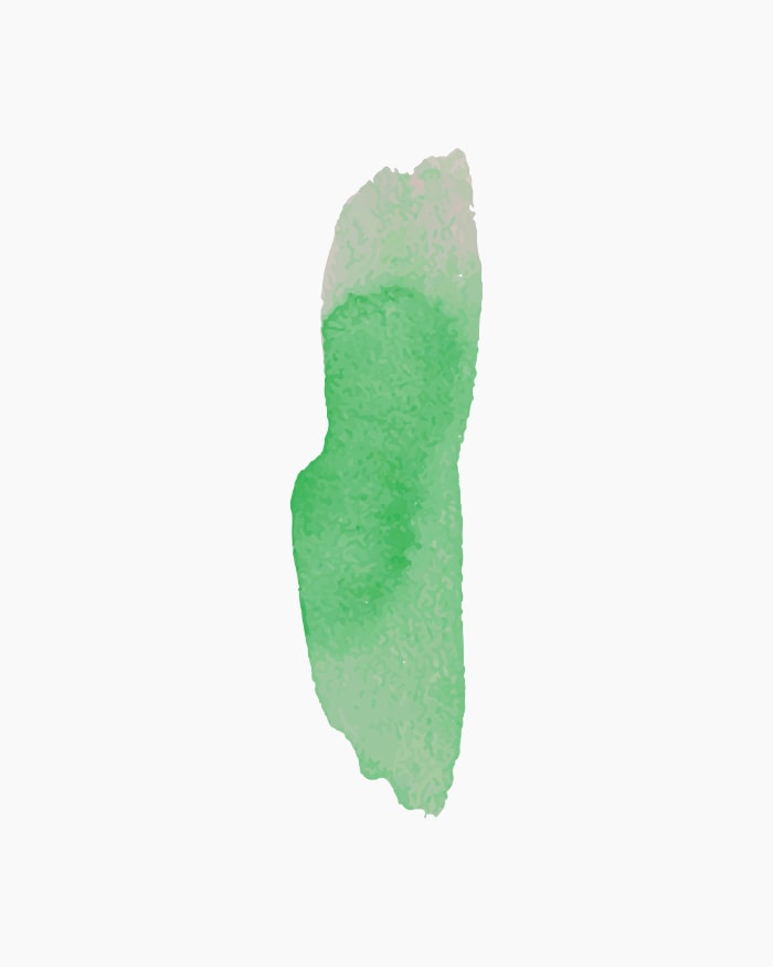 Transparent Photo Colours Individual bottle of Foliage Green in 20 ml