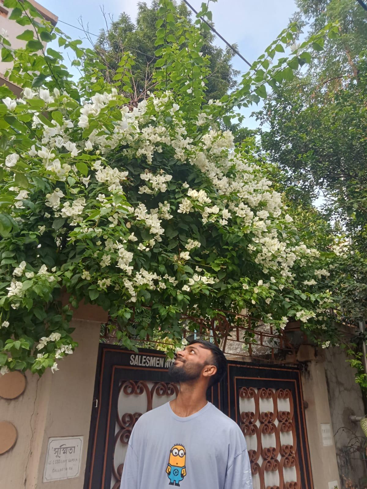 Rahul Paul
