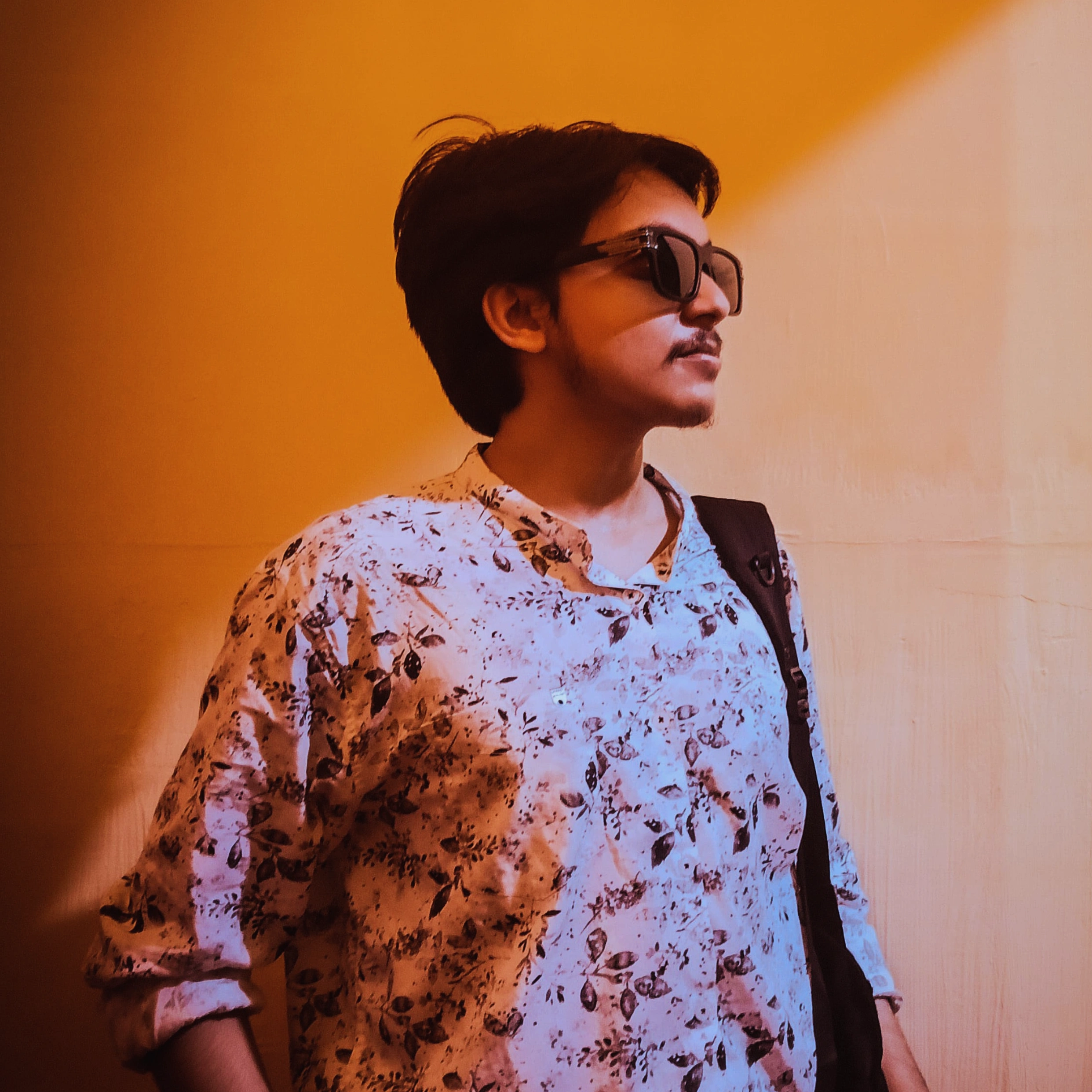 Parnava Roy
