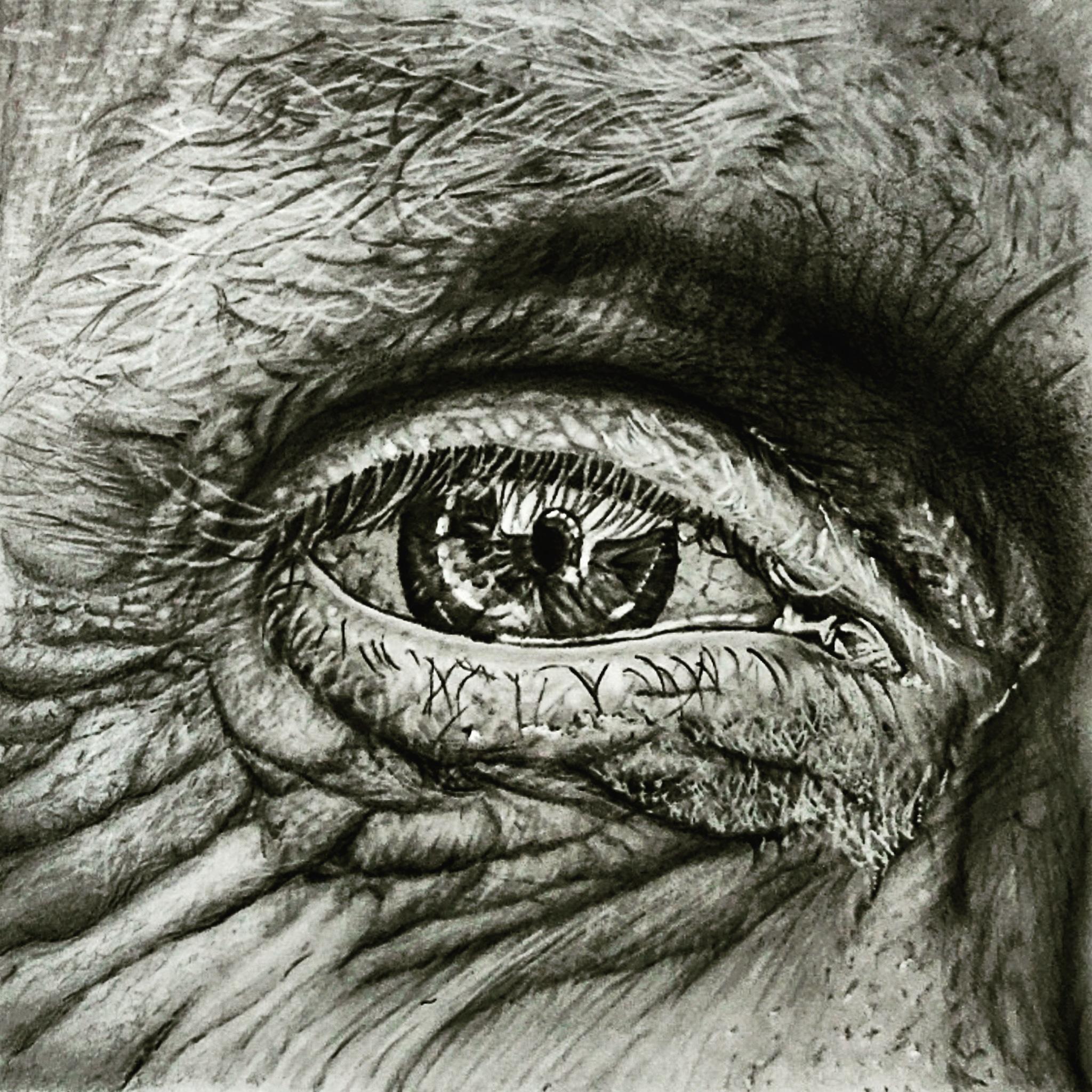 Art Life
