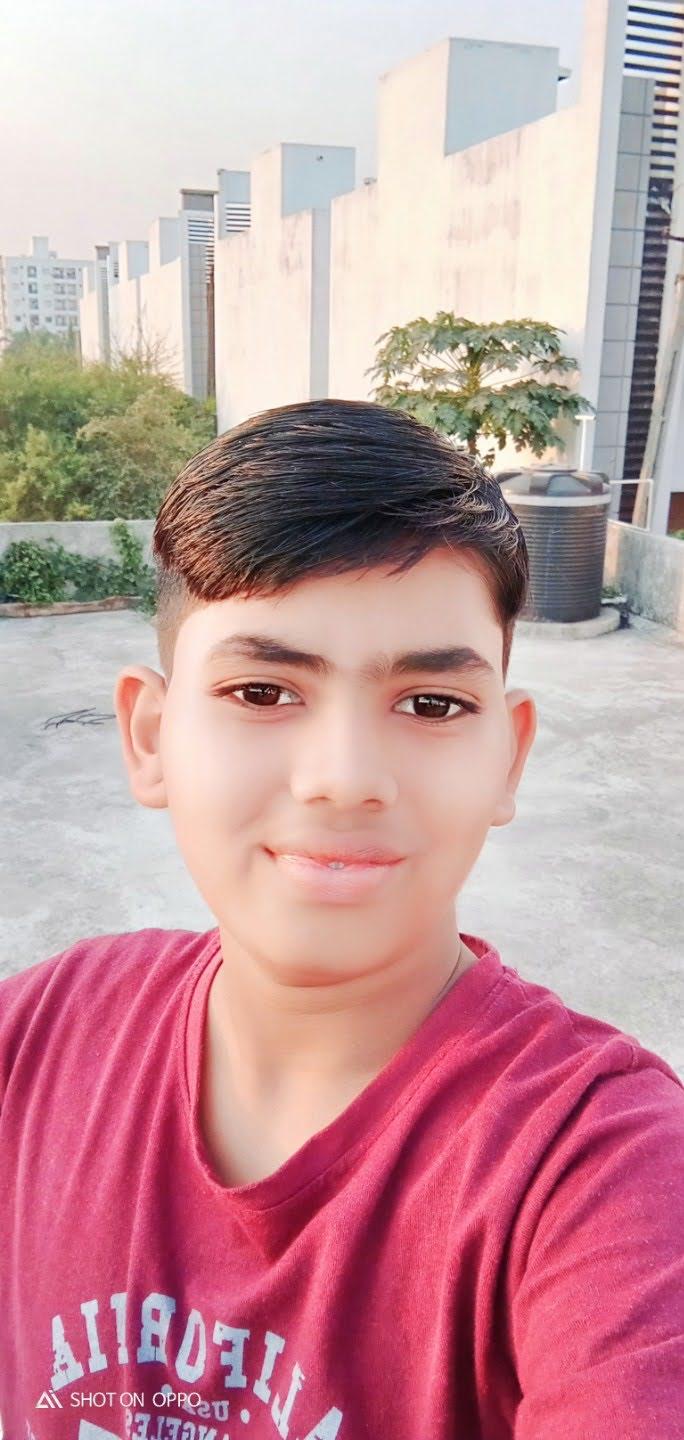 Shailesh art