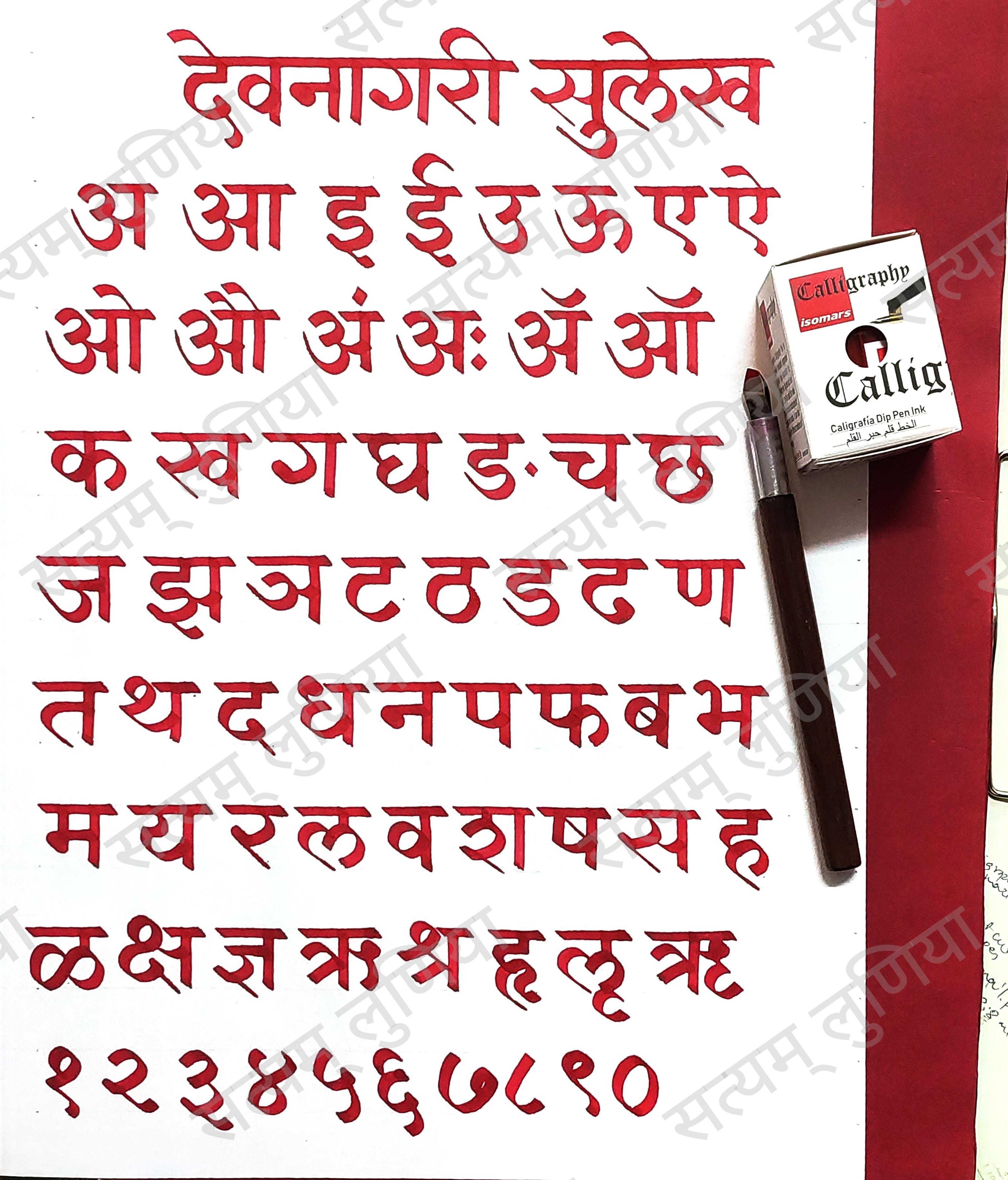 SATYAM LUNIYA
