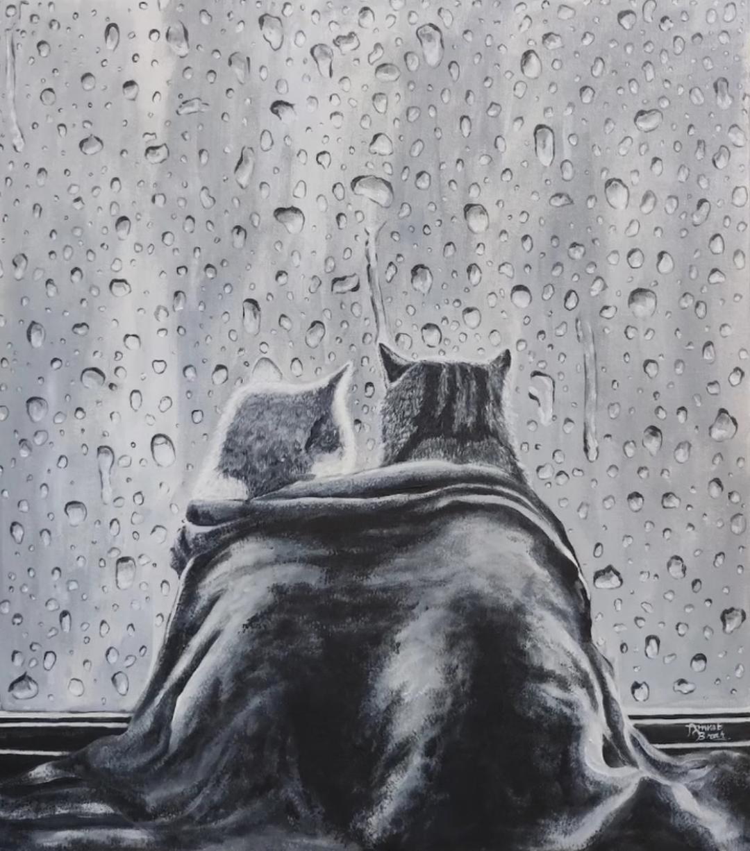 Nimrat Brar Cats by the rainy window