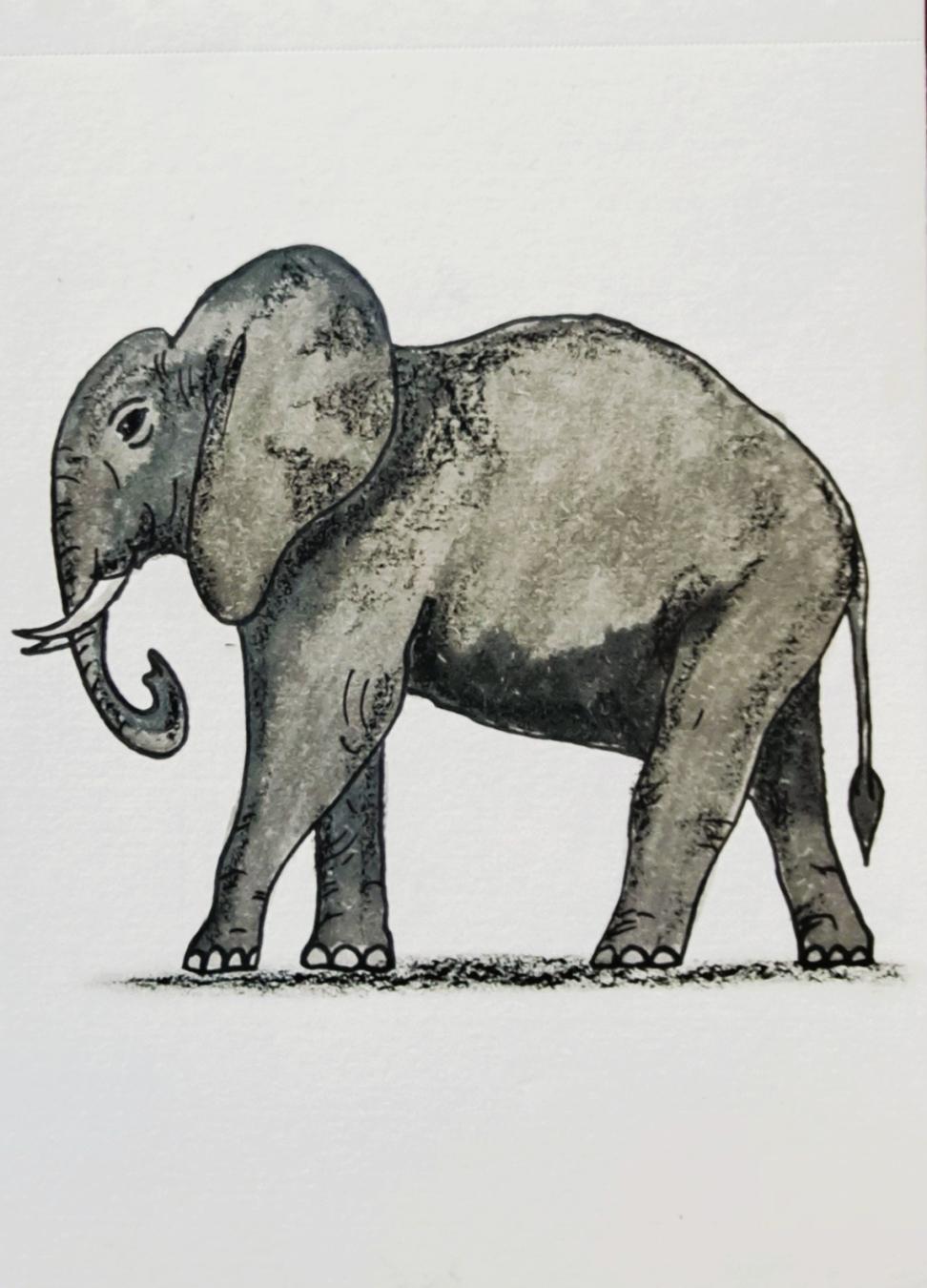 Elephant