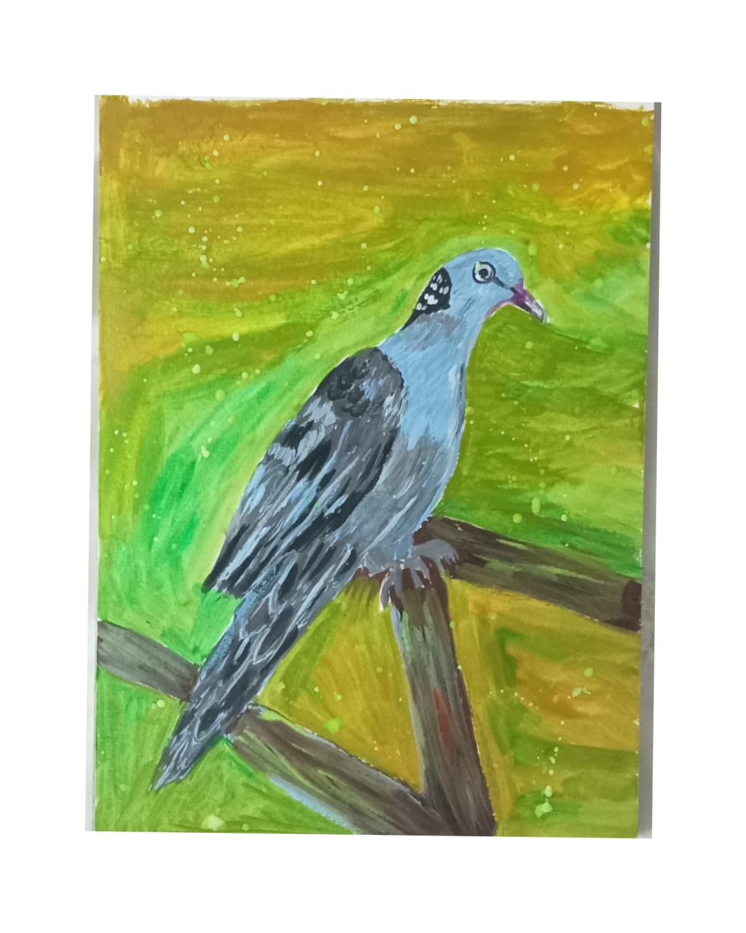 shoma ghosh Night wood pigeon