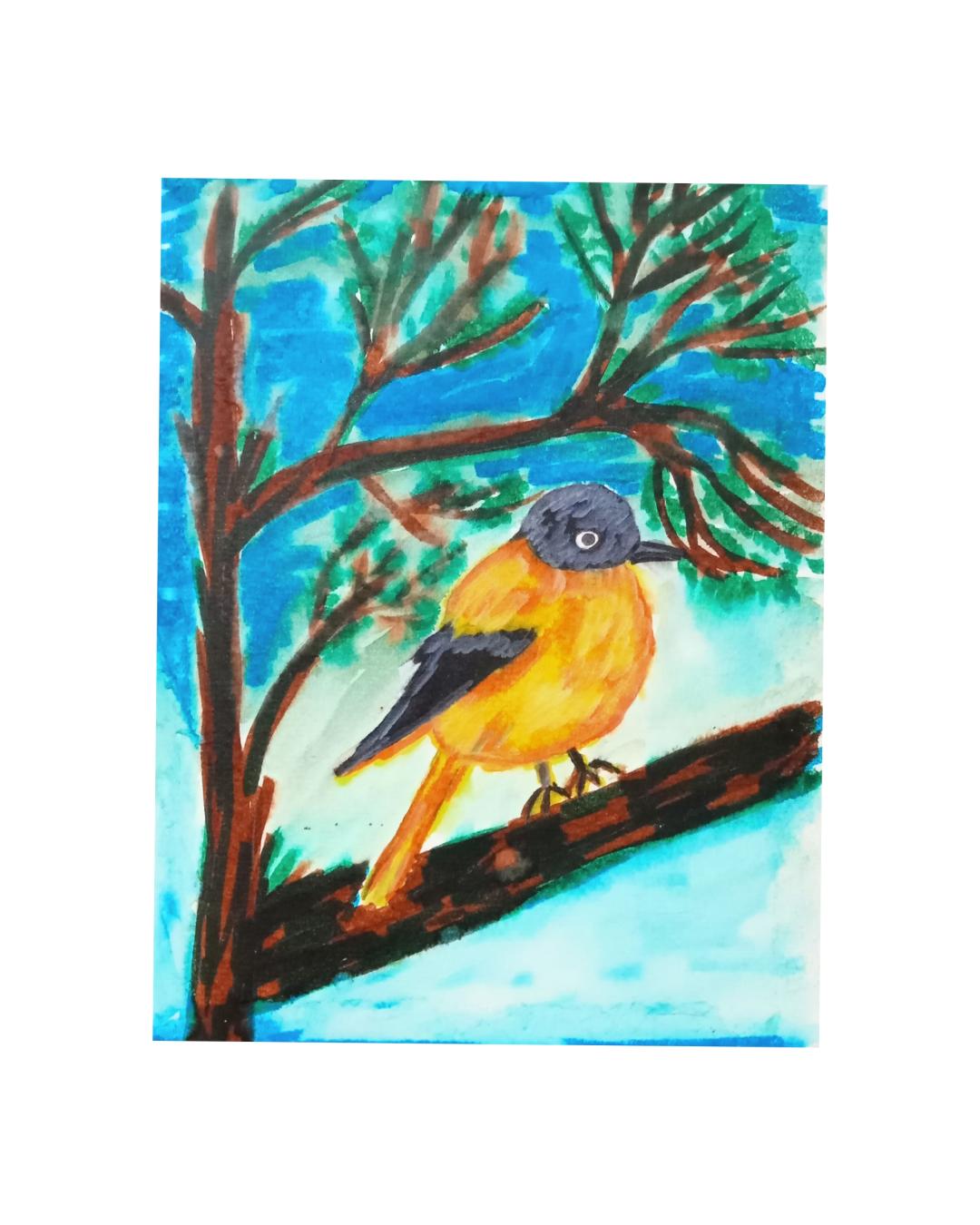 shoma ghosh Black and orange flycatcher