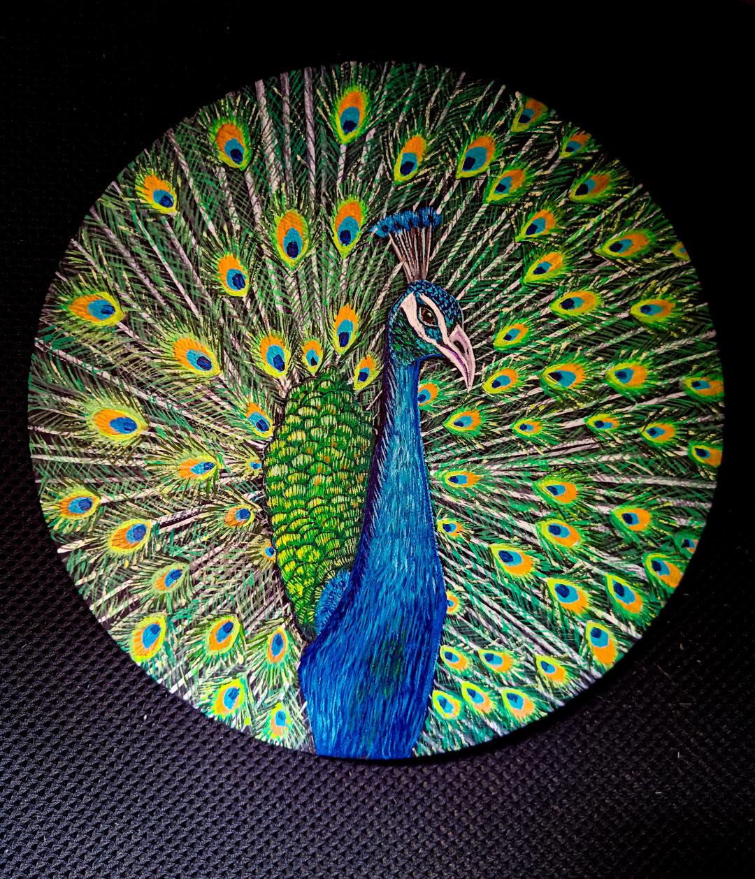 Peacock painting