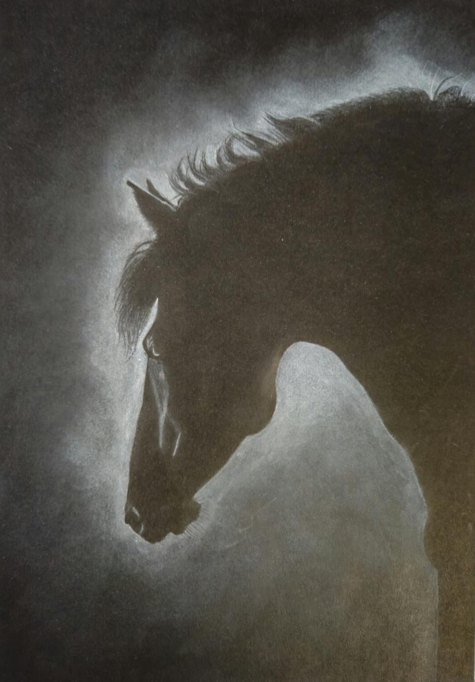 Sparsh Mehta Monochromatic horse