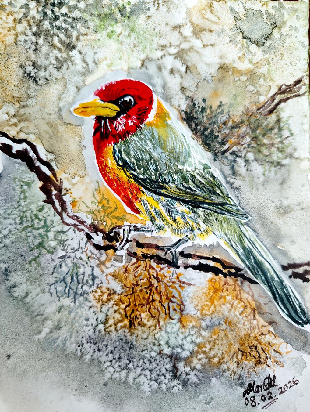 The Red Headed Bird
