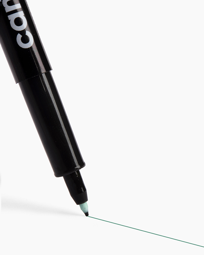 Camlin Fine Tip Permanent Markers Carton of 10 markers in Green shade