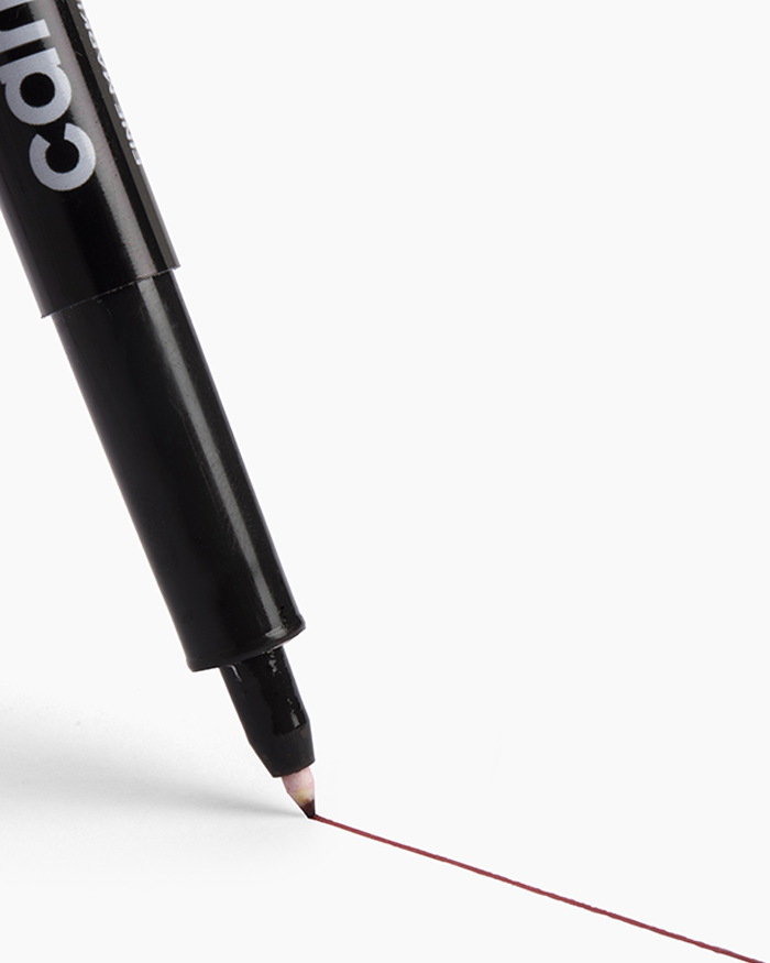 Camlin Fine Tip Permanent Markers Carton of 10 markers in Red shade