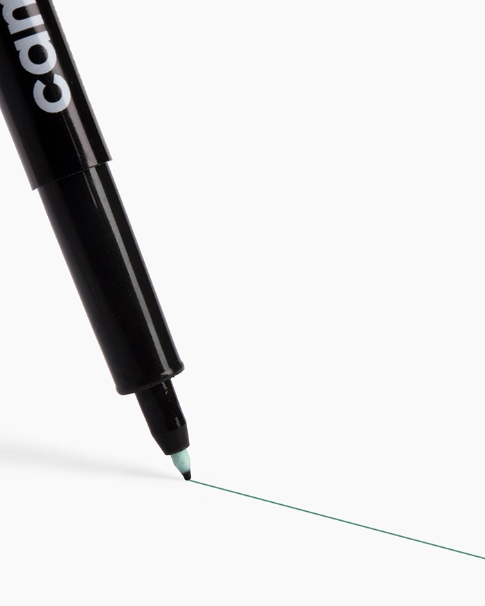 Camlin Fine Tip Permanent Markers Carton of 10 markers in Green shade